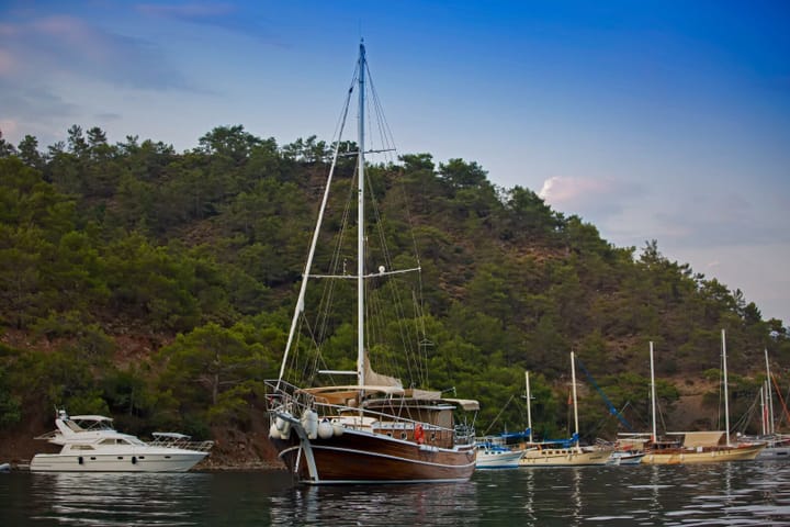 Özel Yapım Kiralık Gulet (2015) - Göcek | #10275 - 4