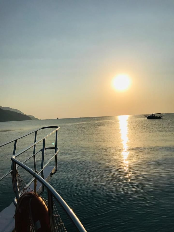 Özel Yapım Kiralık Gulet (2017) - Antalya | #10401 - 6