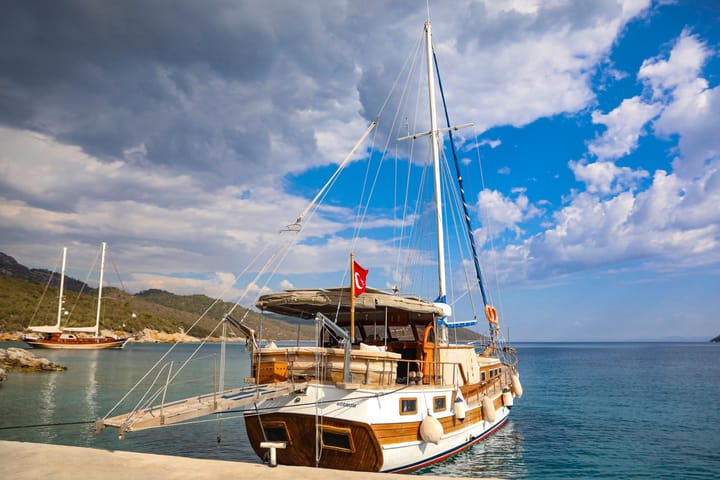 Özel Yapım Kiralık Gulet (2020) - Bodrum | #10720 - 5