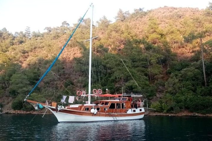 Özel Yapım Kiralık Gulet (2020) - Bodrum | #10720 - 3