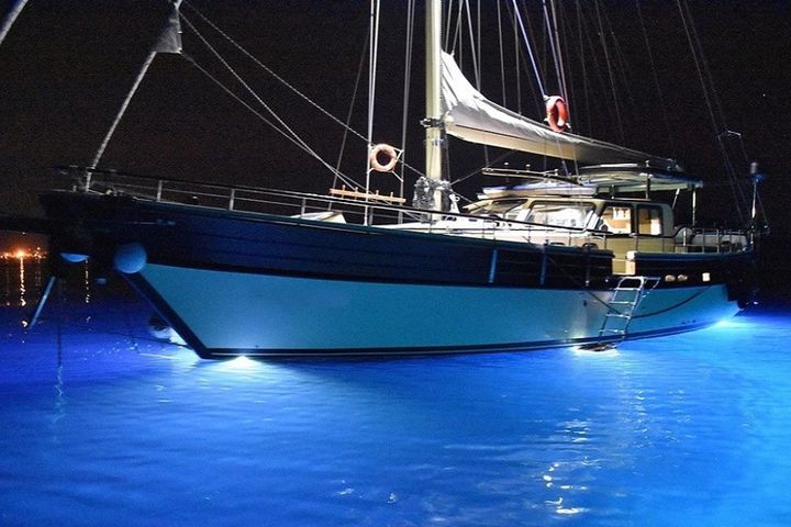 Özel Yapım Kiralık Gulet (2018) - Bodrum | #10909 - 3