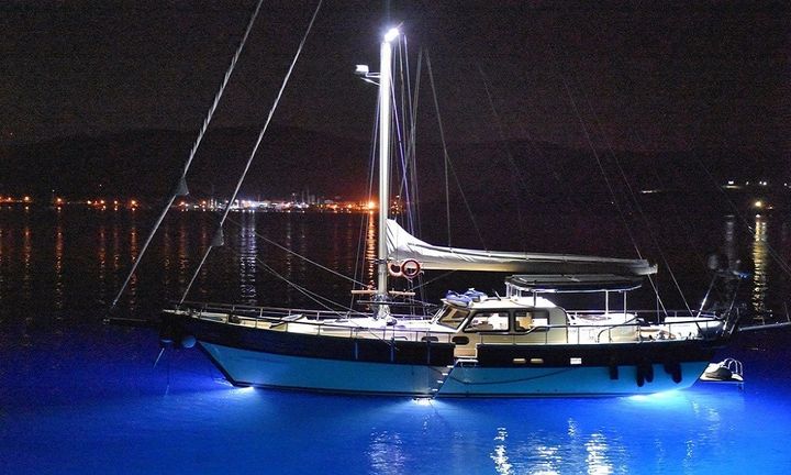 Özel Yapım Kiralık Gulet (2018) - Bodrum | #10909 - 5