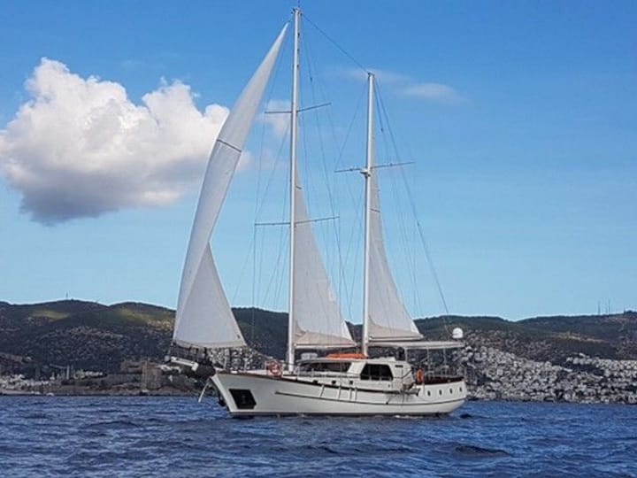 Fait sur mesure  Gulet (2017) pour Charter - Bodrum | # 9870 - 3